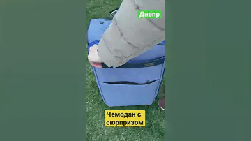 Интрига-что в чемодане???#шок #рекомендации #рек #чемодан #интрига #лучшее #хочувтоп #хочувтренды